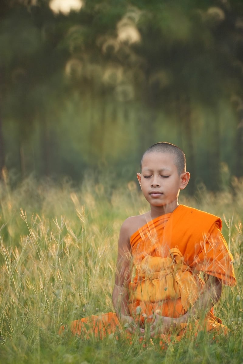 Tai Chi and Qi Gong